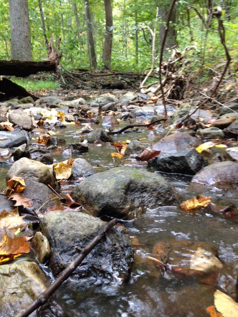 Clarke County, Virginia Perc Test For Septic System Construction Permit