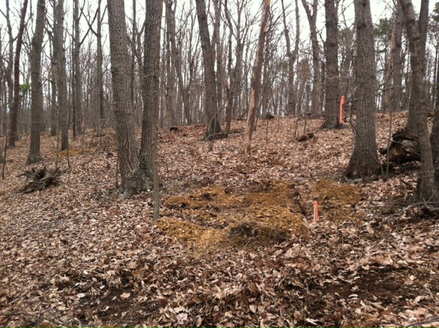 Frederick County, Virginia Perc Test For 3 Bedroom Drip Dispersal Drainfield Location