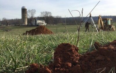 Fauquier County Soil Evaluation For Replacement Of Failed Drainfield